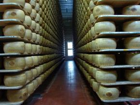 parmigiano cheese