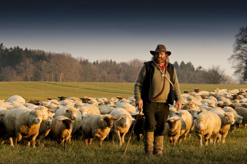 Transhumance in Italy Transumanza Unesco