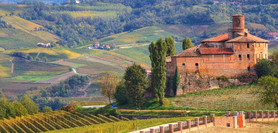 View on autumnal vineyards of Langhe in Piedmont