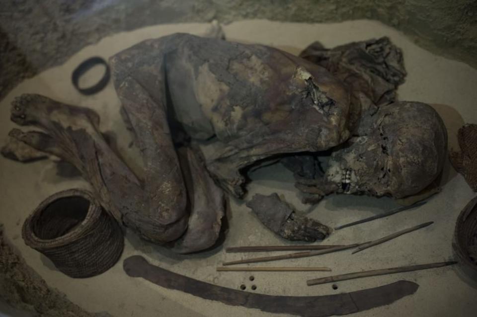 Museo Egizio Torino Egyptian Museum of Turin