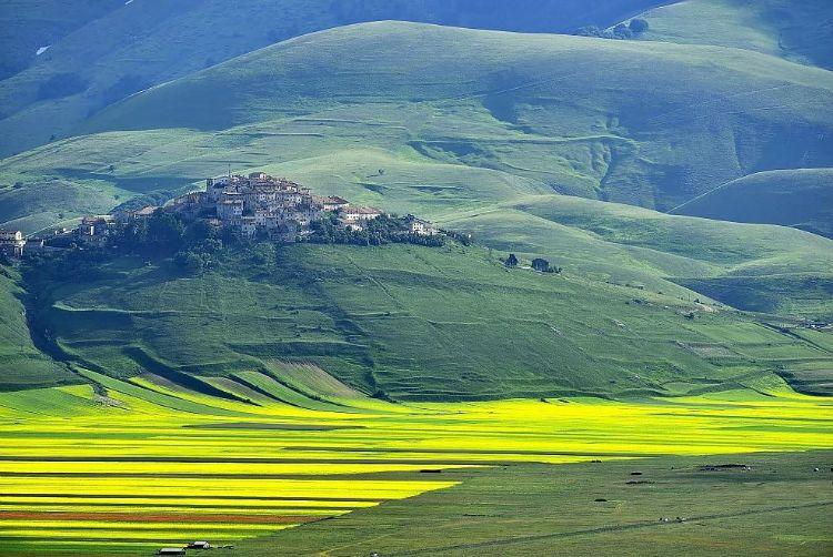 Annual flower blooming event on Castelluccio's plateaus