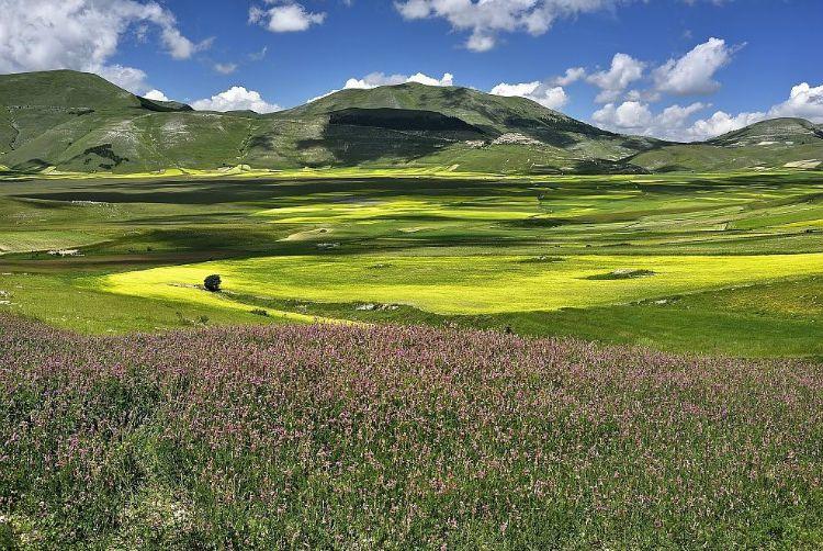 La Fiorita Piani di Castelluccio Annual flower blooming event on Castelluccio's plateaus