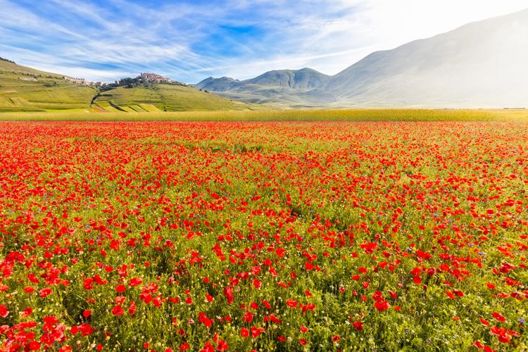 Piano Grande, Umbria Castelluccio di Norcia