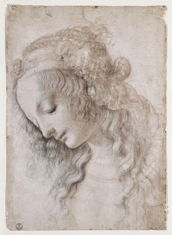 Testa femminile con sguardo verso il basso, Leonardo Testa femminile con sguardo verso il basso