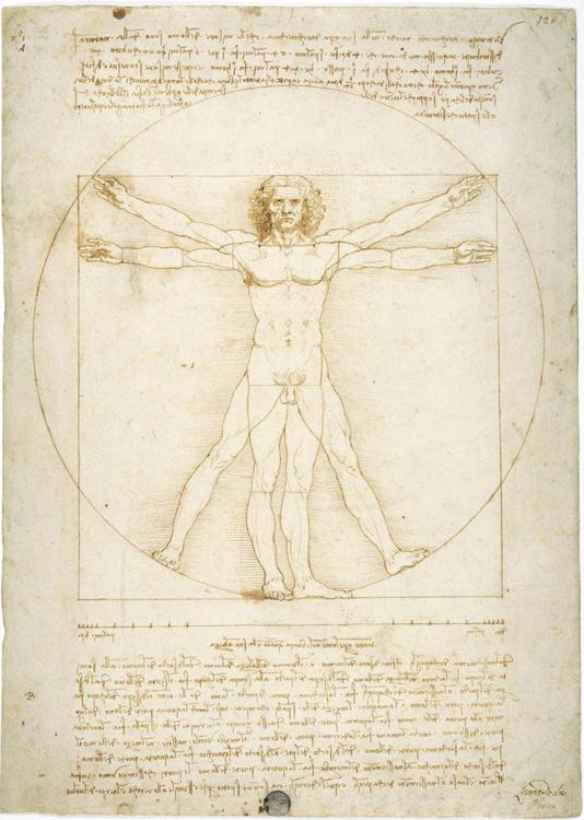 Vitruvian Man, Leonardo Vitruvian Man